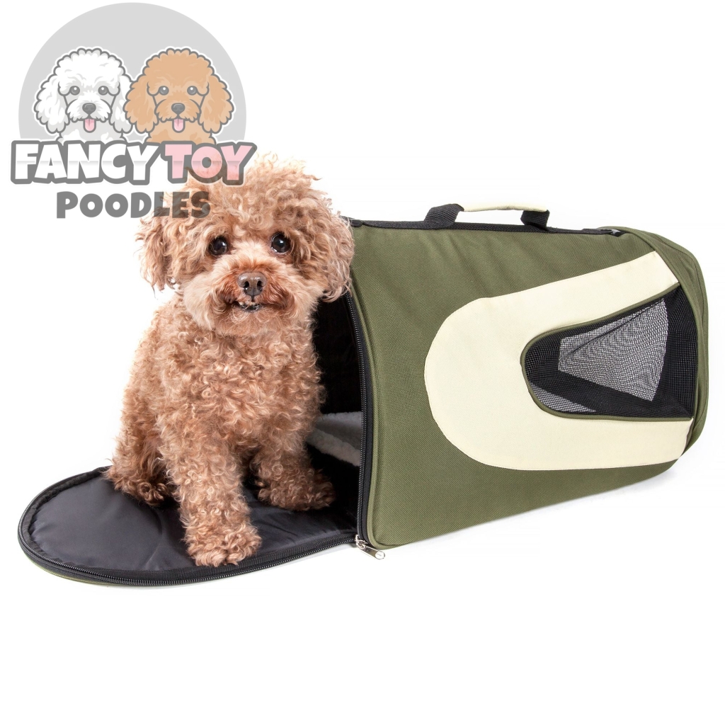 Folding Zippered Sporty Mesh Pet Carrier