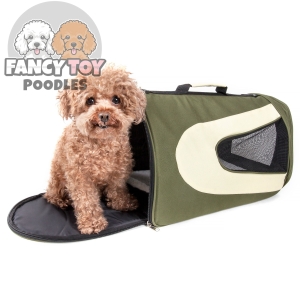 Folding Zippered Sporty Mesh Pet Carrier