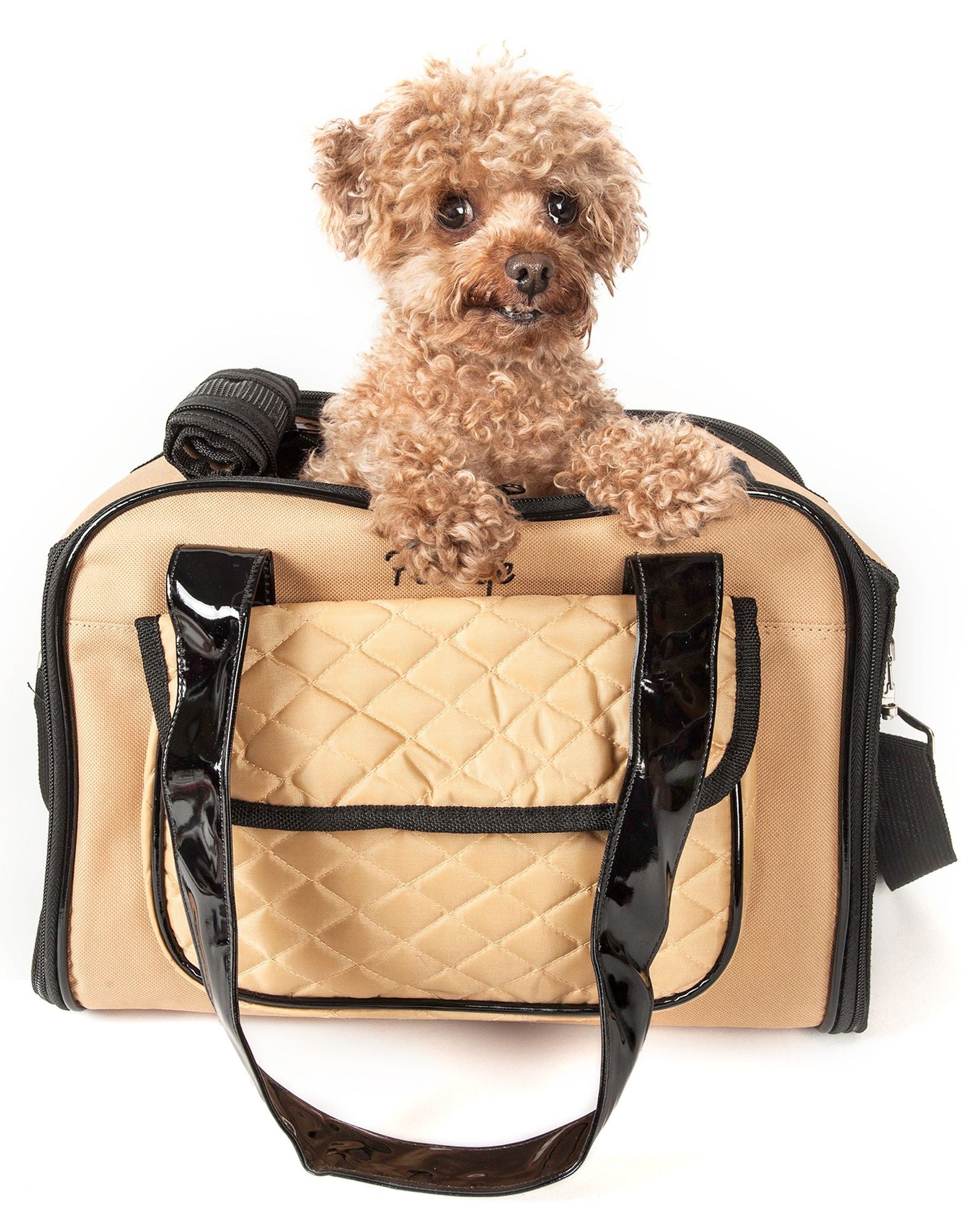 Mystique Fashion Pet Carrier