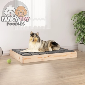 Dog Bed