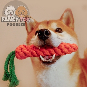 Dog Rope Toy