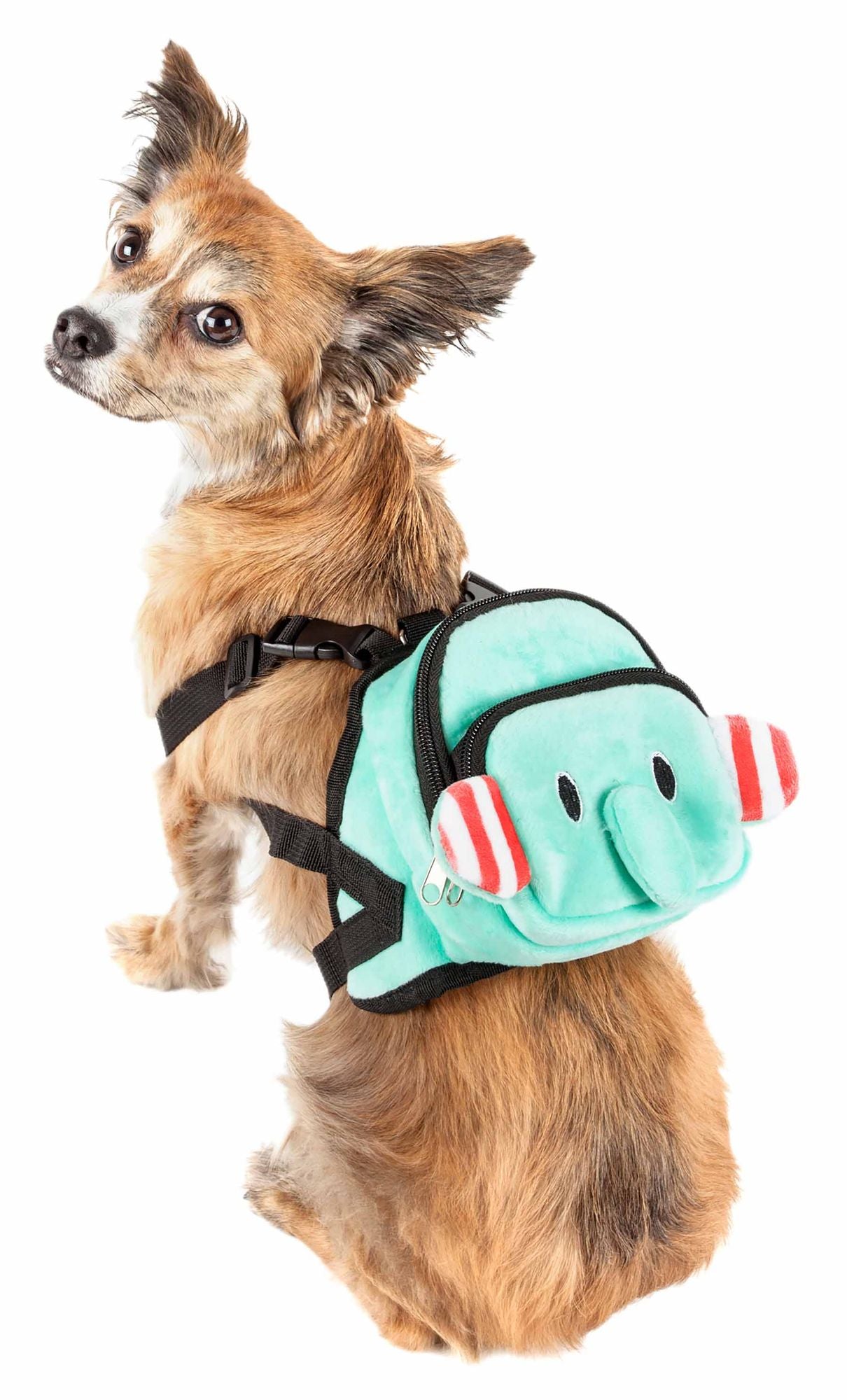Harness Backpack