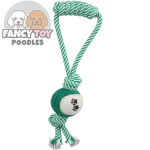 Pull Away' Rope And Tennis Ball